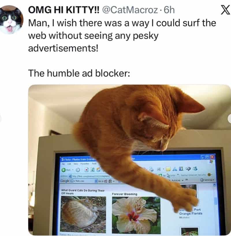 meta cat meme featuring a ginger tabby perched on a computer monitor, its paw stretched down to physically block the screen. The caption hilariously rebrands this feline interference as "The humble ad blocker" for users who want to surf the web without advertisements