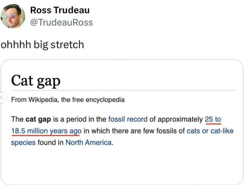 educational cat meme consisting of a Wikipedia snippet for the "Cat gap"—a million-year period in the fossil record with few feline remains. User Ross Trudeau provides the only logical feline explanation for this historical void: "ohhhh big stretch."