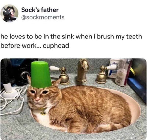 literal cat meme featuring an orange tabby sitting contentedly in a bathroom sink with a small green plastic cup balanced perfectly on its head like a helmet. The social media caption dubs him "cuphead" and notes his love for sitting in the sink during his owner's morning routine.