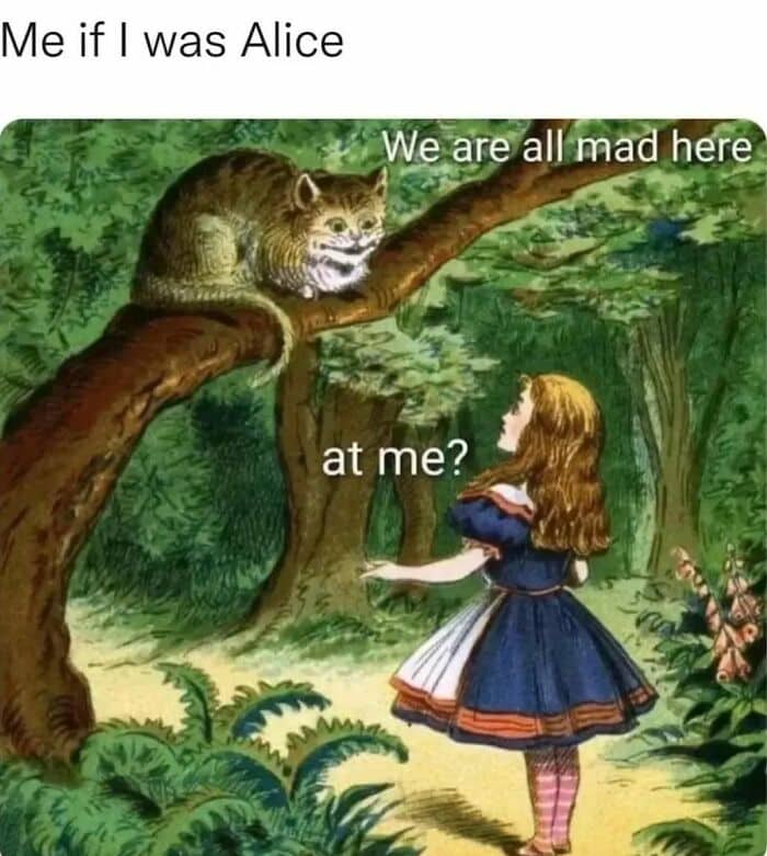 Alice in Wonderland meme where Alice asks the Cheshire Cat if everyone is mad at her.
