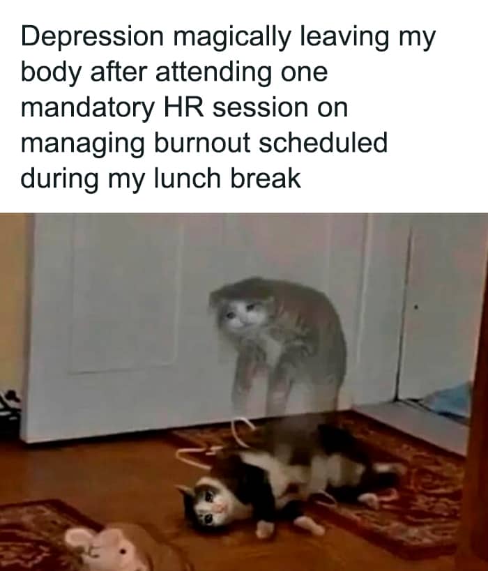 Relatable meme of a sad ghost cat leaving a body after a mandatory HR session.