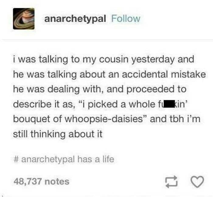 Funny Tumblr post about a cousin describing a massive mistake as a bouquet of whoopsie-daisies.