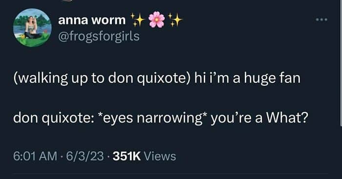 Clever tweet featuring a pun where Don Quixote is offended by a fan of his.