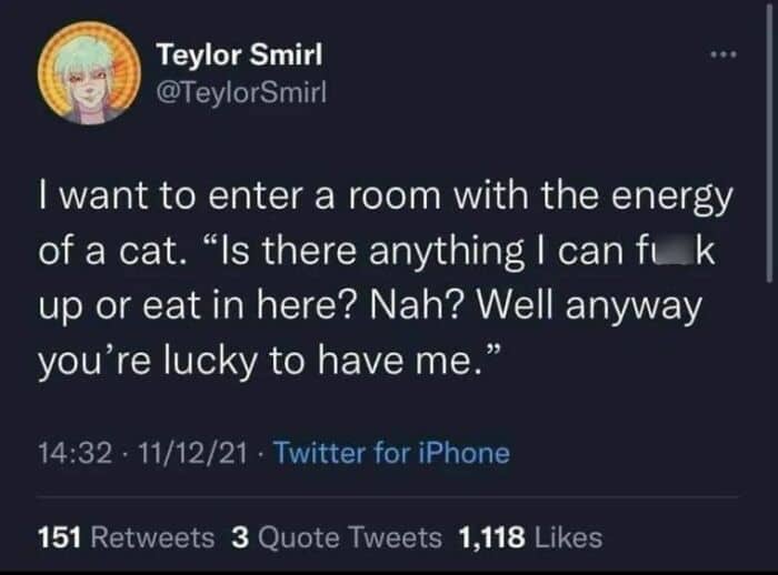 Tweet about entering a room with cat energy and assuming everyone is lucky to be there.