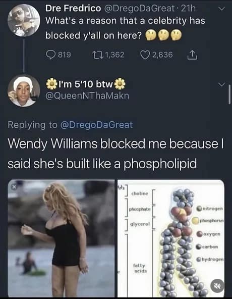 An iconic old meme Twitter screenshot where a user explains they were blocked by Wendy Williams for comparing a photo of her in a black swimsuit to a scientific diagram of a phospholipid.