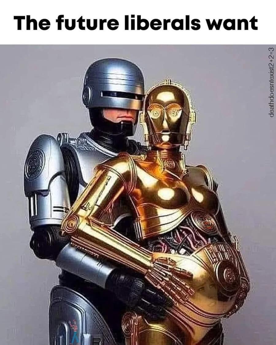 bizarre and hilarious old memes parody featuring Robocop embracing a pregnant, feminized C-3PO, ironically captioned "The future liberals want" to mock over-the-top political fear-mongering.