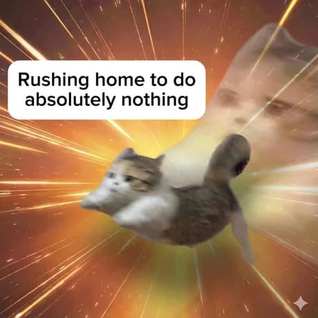 chaotic classic meme showing a deeply blurred cat flying through a surreal cosmic space background, perfectly capturing the intense, hyper-speed energy of rushing home from work just to do absolutely nothing.