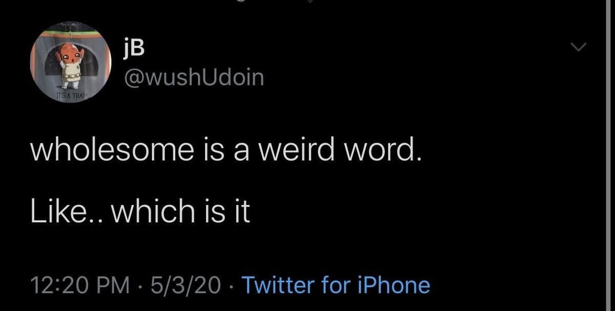 semantic existential crisis defines this classic meme, featuring a screenshot of a tweet questioning the word "wholesome" by literally splitting it into "whole" or "some."