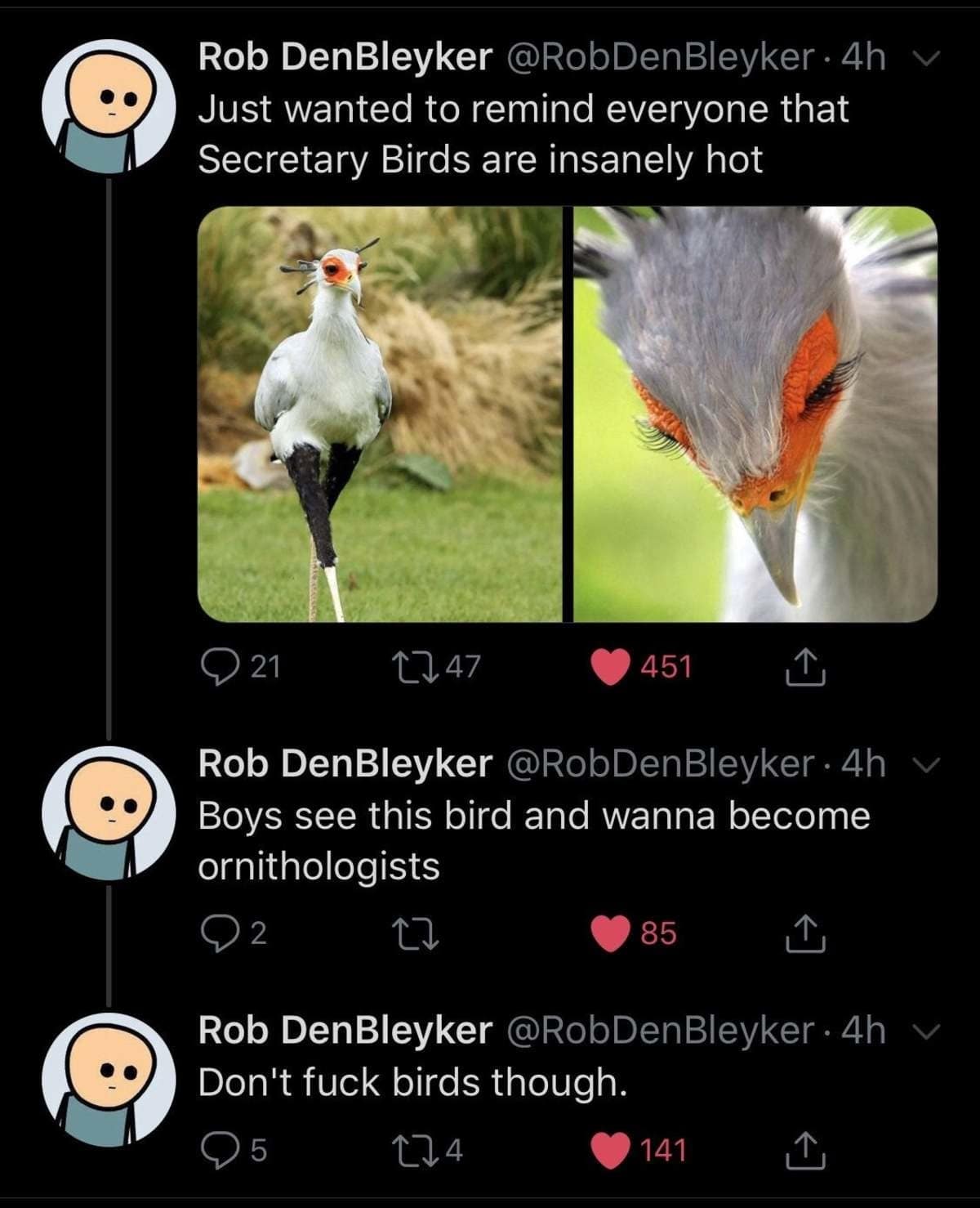 hilarious classic meme thread by Rob DenBleyker showcasing the "insanely hot" Secretary Bird with its long, dramatic eyelashes and orange face markings. The post jokingly suggests boys want to become "ornithologists" upon seeing it, before sternly warning: "Don't [censored] birds though".