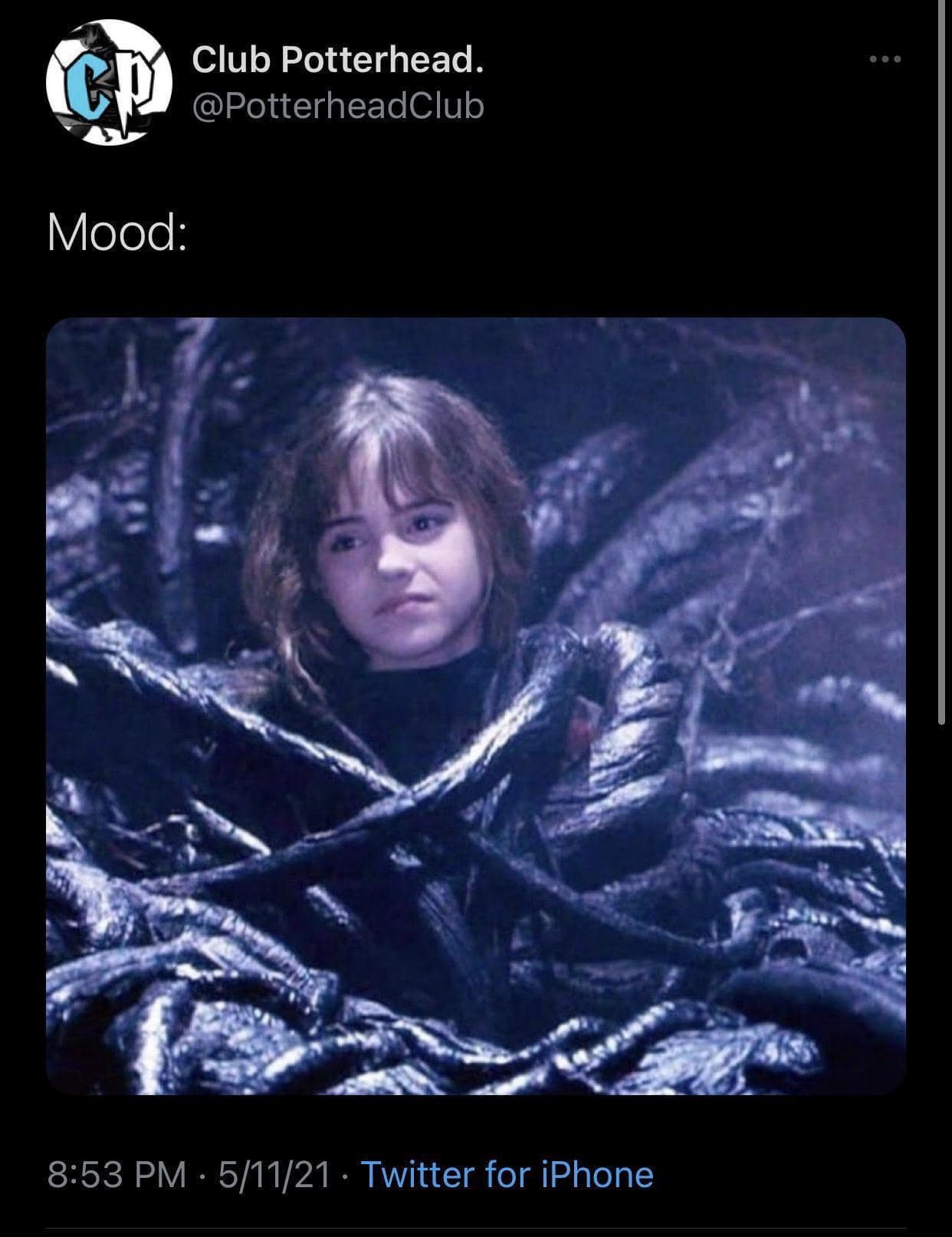 Capturing peak academic and social burnout, this old meme uses a shot of a grimacing Hermione Granger trapped by the Devil's Snare vines from Harry Potter.