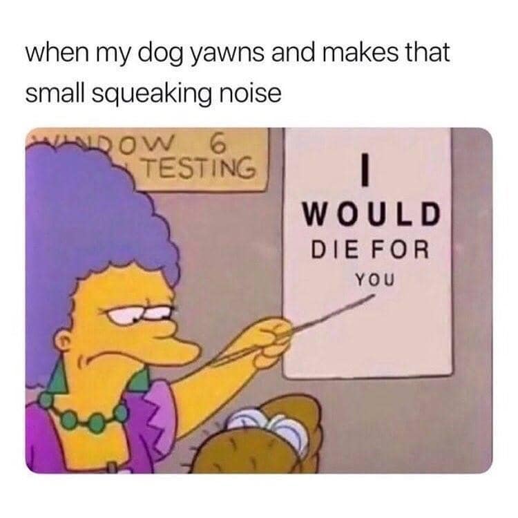 Marge Simpson points to a life-or-death declaration on an eye chart, capturing the instant, soul-crushing devotion felt the moment a dog makes a tiny, high-pitched yawning squeak.