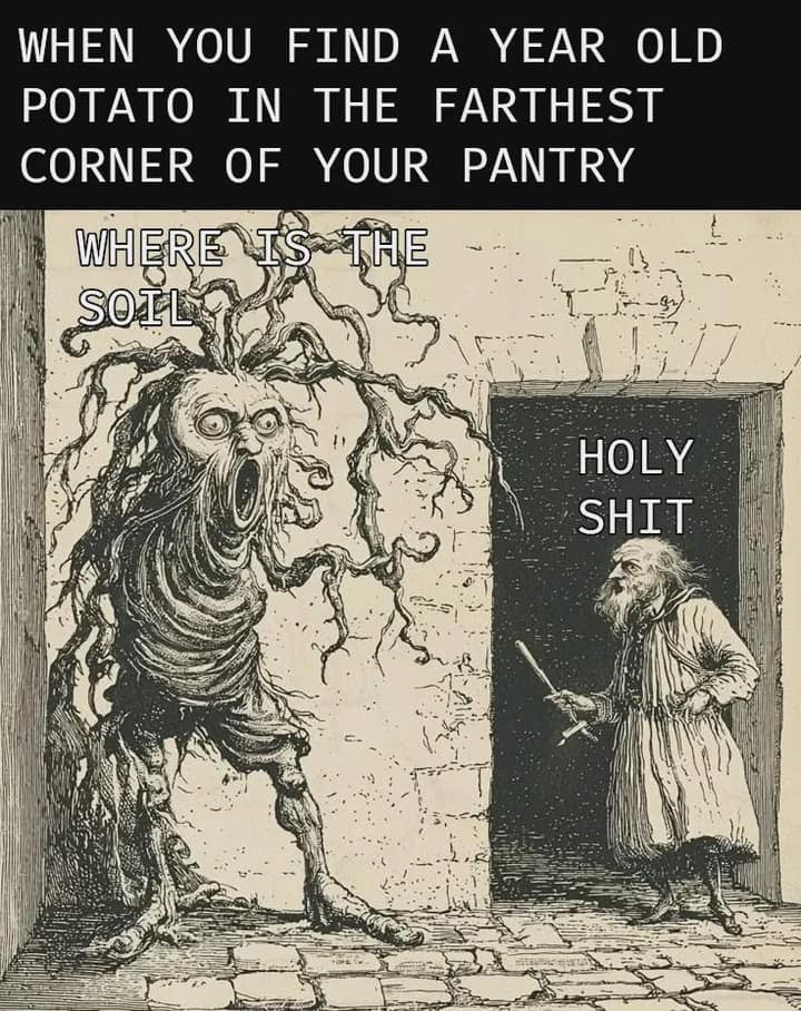 An eldritch old meme using an antique woodcut illustration to depict the sheer horror of finding a year-old potato in the back of the pantry. The sprawling, rooted tuber-monster screams, "WHERE IS THE SOIL," while a shocked old man cries, "HOLY SHIT."