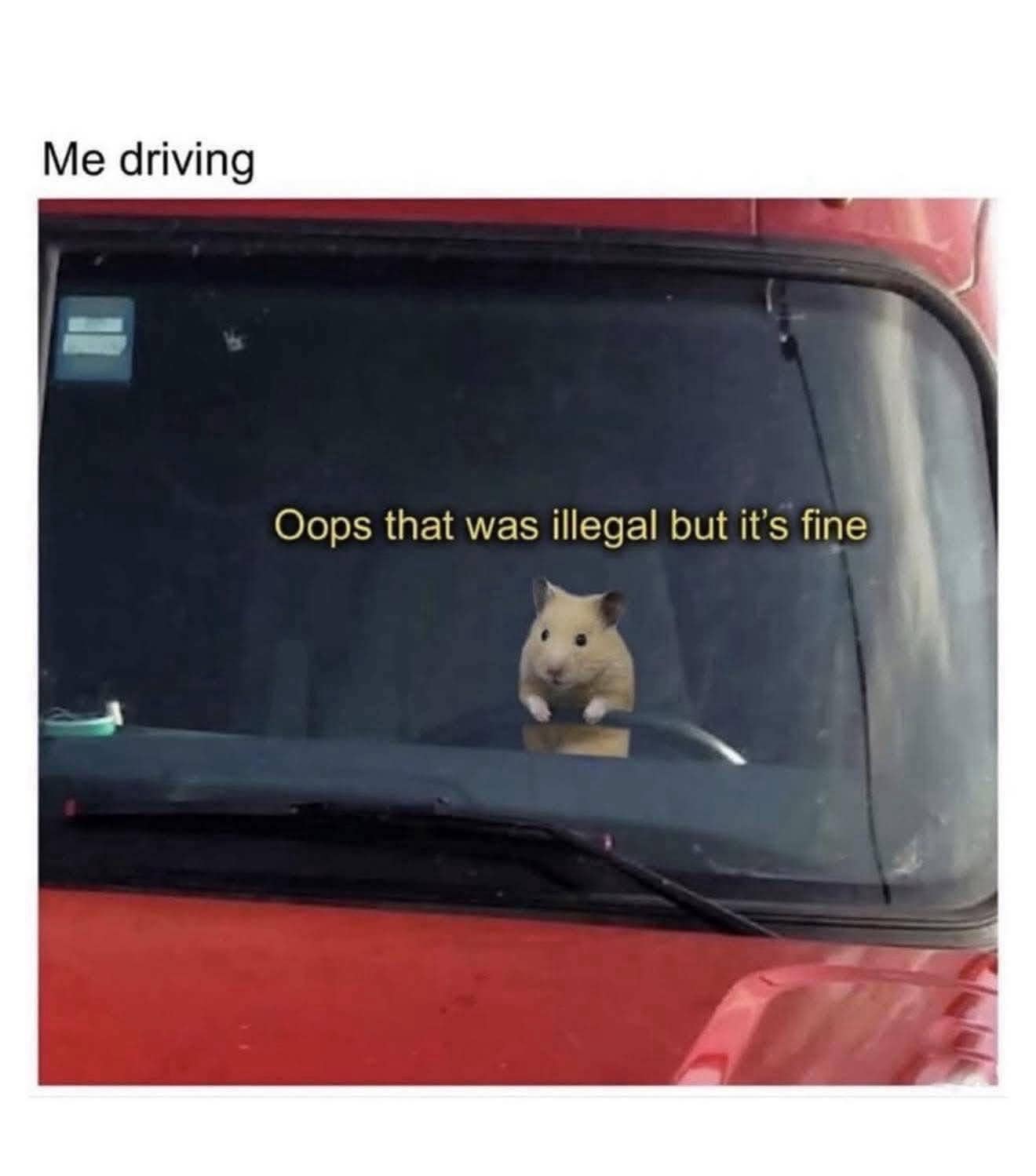 A tiny hamster standing at the steering wheel of a massive red truck. A highly relatable classic meme about accidentally doing something illegal while driving and just pretending it is completely fine.