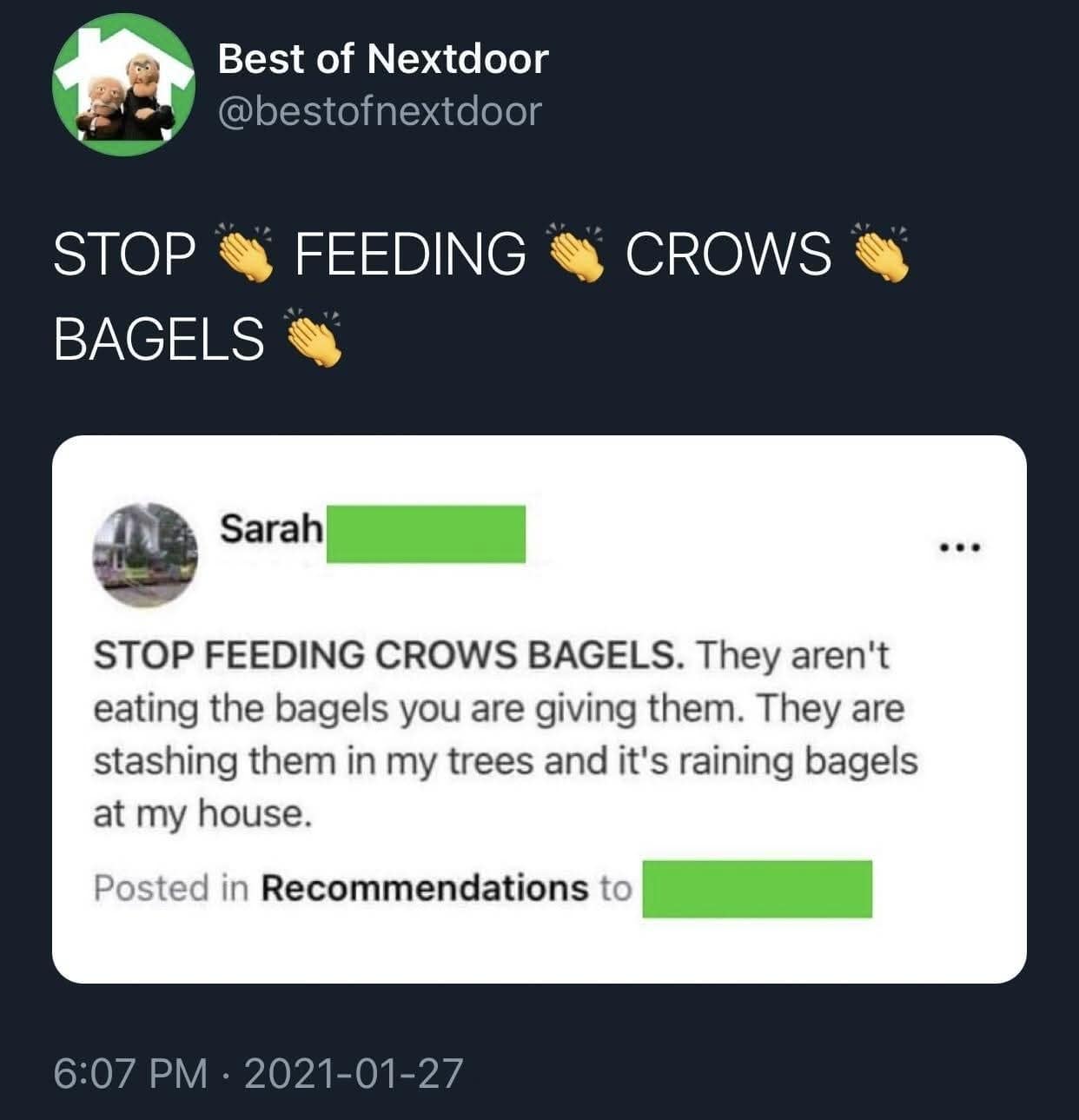 An unhinged neighborhood app post featured in a classic meme demanding people stop feeding crows bagels because the birds are stashing them in trees and making it rain bagels on a house, a top-tier piece of old memes lore.