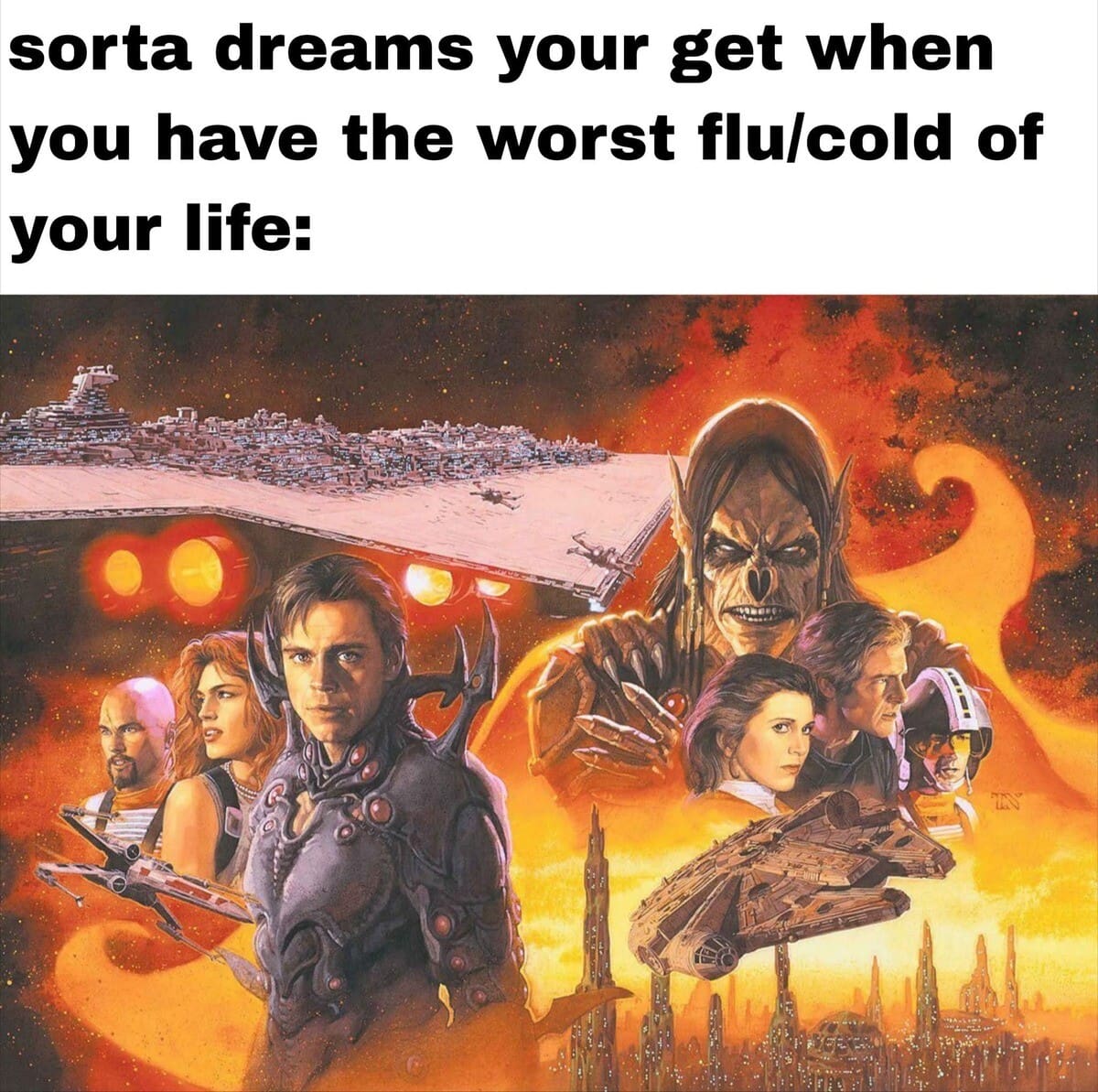 aesthetic classic meme compares the crowded, chaotic cover art of Star Wars Legends novels to the vivid, nonsensical, and high-stakes fever dreams people experience when they have a severe flu.