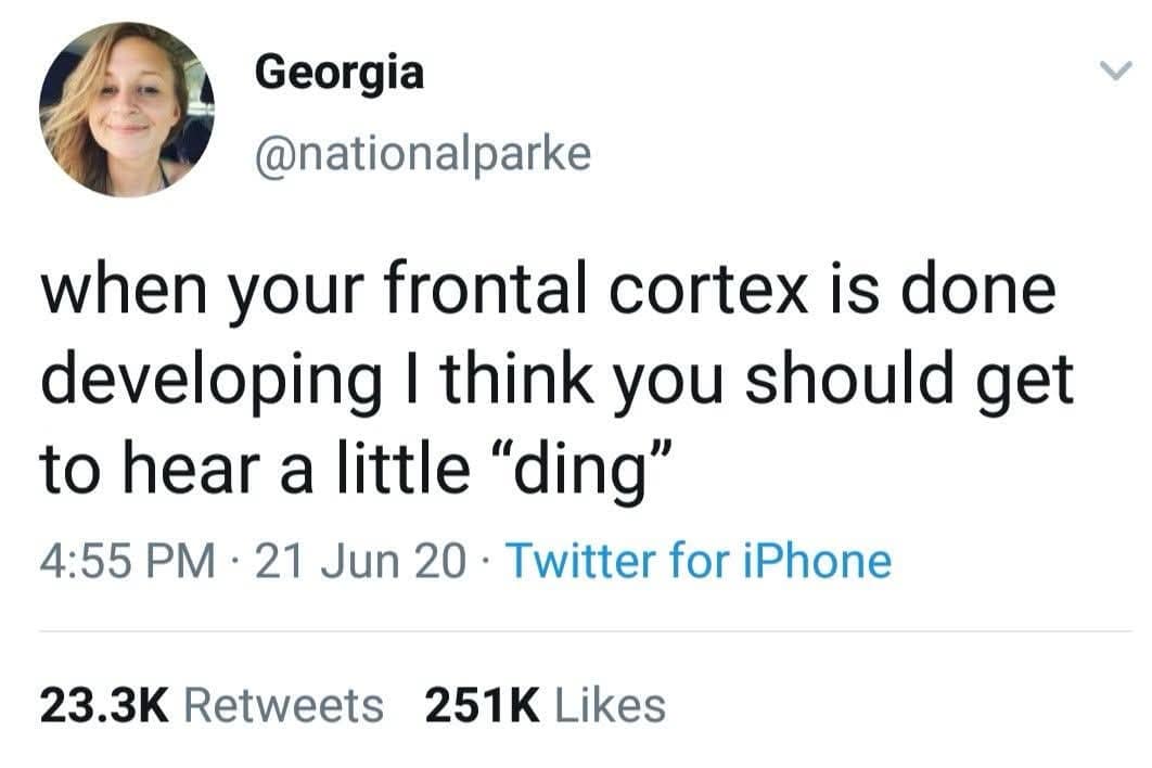 relatable classic meme tweet suggesting that when your frontal cortex finally finishes developing, you should get to officially hear a little "ding" notification sound to mark the achievement.