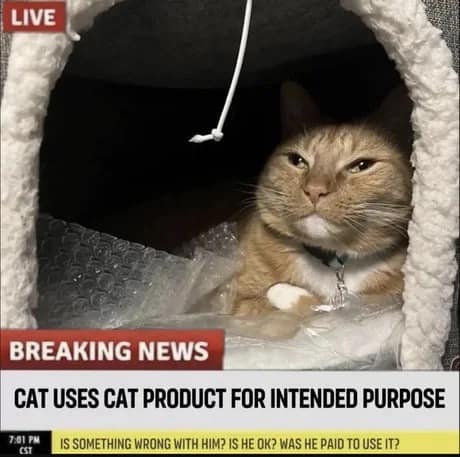 classic meme styled as a "Breaking News" television broadcast. The main image shows a ginger cat sitting contentedly inside a plush cat bed. the headline screams, "CAT USES CAT PRODUCT FOR INTENDED PURPOSE," while the news ticker below humorously asks, "IS SOMETHING WRONG WITH HIM? IS HE OK? WAS HE PAID TO USE IT?"