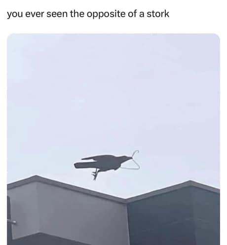 dark humor classic meme showing a black crow or raven in mid-flight against a cloudy sky, carrying a wire clothes hanger in its beak. The caption reads: "you ever seen the opposite of a stork."