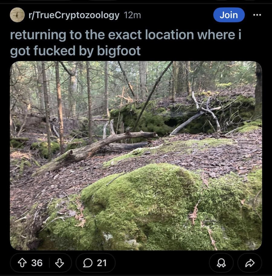 cursed and deeply strange screenshot from a cryptozoology forum showing a mossy forest floor, captioned by a user who is supposedly "returning to the exact location" where they had a physical encounter with Bigfoot.