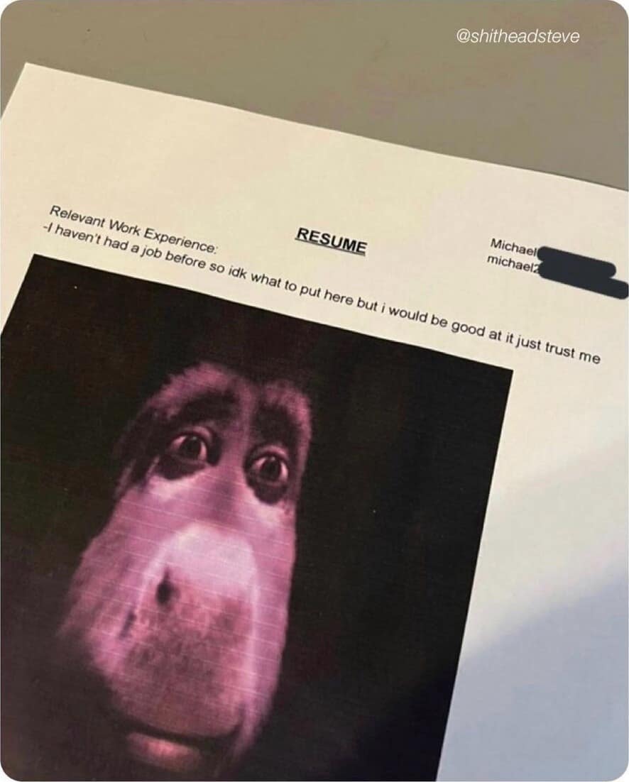 chaotic classic meme featuring a job resume with zero experience where the applicant simply writes "just trust me," all set against a distorted, vibrant pink close-up of Donkey from Shrek.