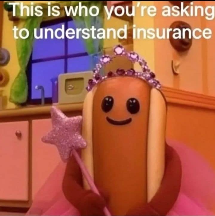 A humorous classic meme featuring a still of a toy hotdog character from a children's program. The hotdog is dressed in a pink tutu and a sparkly tiara while holding a magic wand. The text above mocks young adulthood: "This is who you’re asking to understand insurance."