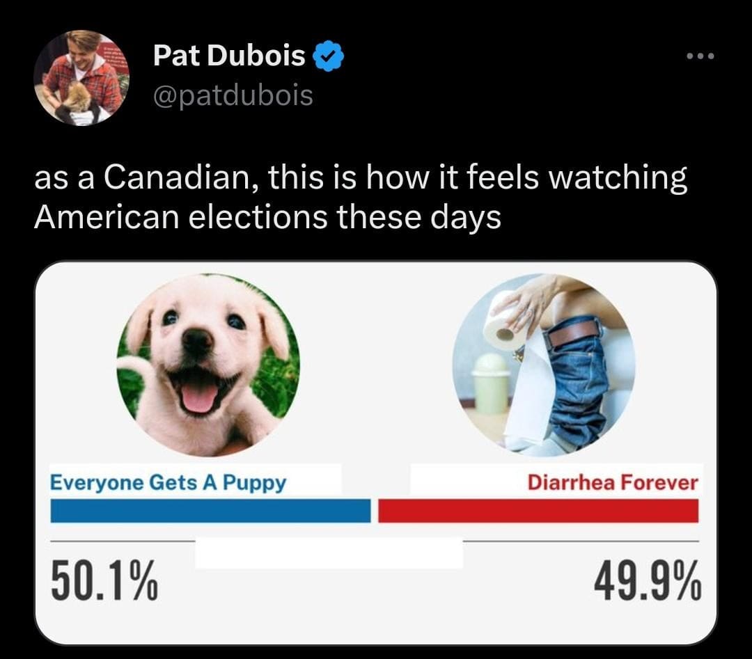 political classic meme showing a deeply divided fictional poll where "Everyone Gets A Puppy" barely beats "Diarrhea Forever," perfectly summarizing how Canadian spectators view the sheer chaos of modern American elections.