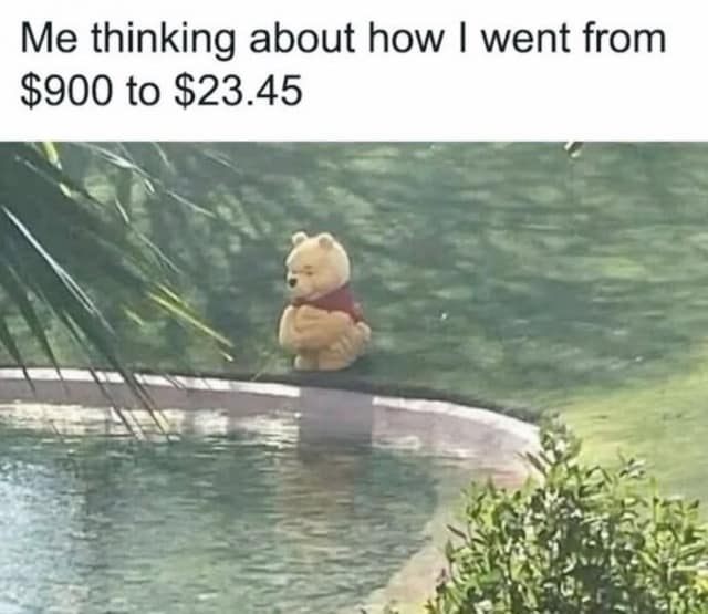 A sad Winnie the Pooh toy stands pensively by the edge of a small pond in this old memes favorite, perfectly capturing the existential dread of watching your bank account drop from $900 to $23.45.