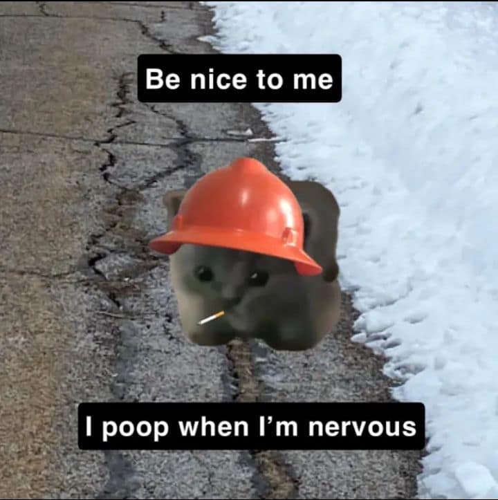 An internet staple and best memes favorite featuring a tiny grey kitten edited to wear an orange construction hard hat and hold a cigarette, captioned with the plea, "Be nice to me, I poop when I’m nervous."