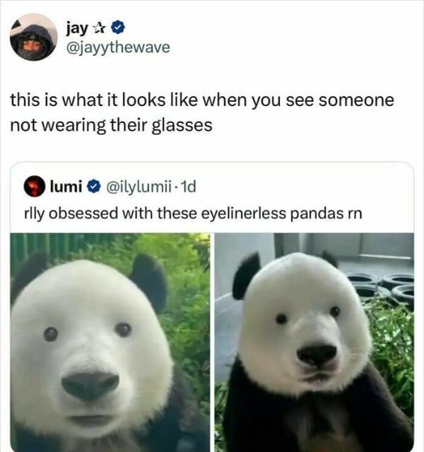 hilarious classic meme showing photoshopped pandas entirely missing their signature black eye spots, brilliantly comparing their jarring appearance to the shock of seeing a friend without their glasses or heavy eyeliner in this collection of old memes
