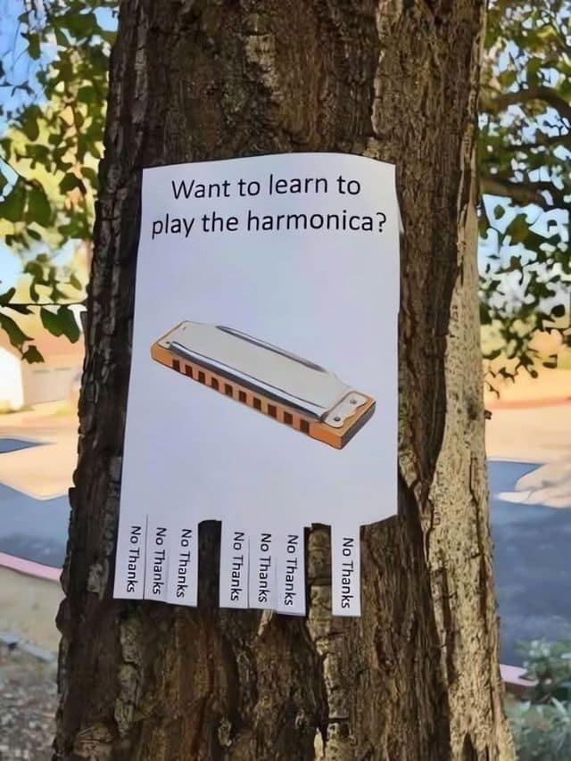 Subverting the usual community flyer format, this dry and relatable classic meme shows a "learn the harmonica" poster where every tear-off tab simply says "No Thanks."