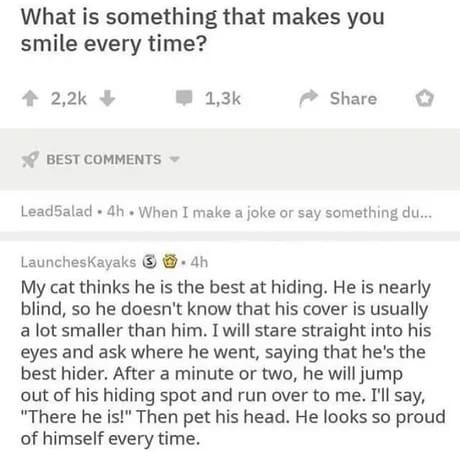 heartwarming classic meme from a Reddit thread where a user explains how they passionately hype up their nearly blind cat who confidently thinks he is a master of hiding under tiny covers.