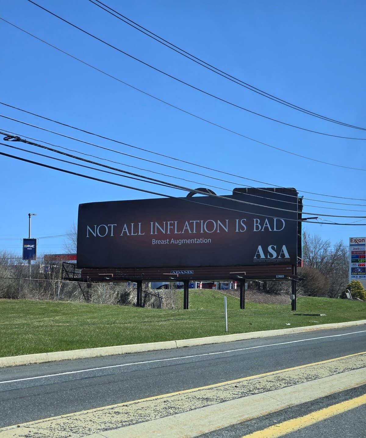 A bold classic meme featuring a roadside billboard for a plastic surgery clinic. Beneath a clear blue sky, the dark sign displays the clever marketing copy: "NOT ALL INFLATION IS BAD / Breast Augmentation."