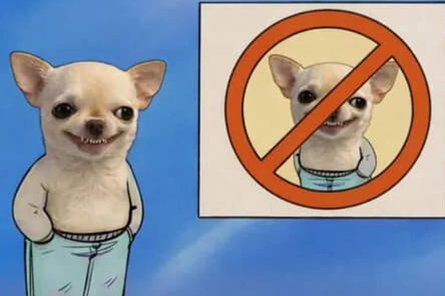 classic memes compilation: A gallery featuring the Wendy Williams phospholipid comparison, the woman giving birth in a Chewbacca mask, and the legendary 12kg wheel of cheese date gift.