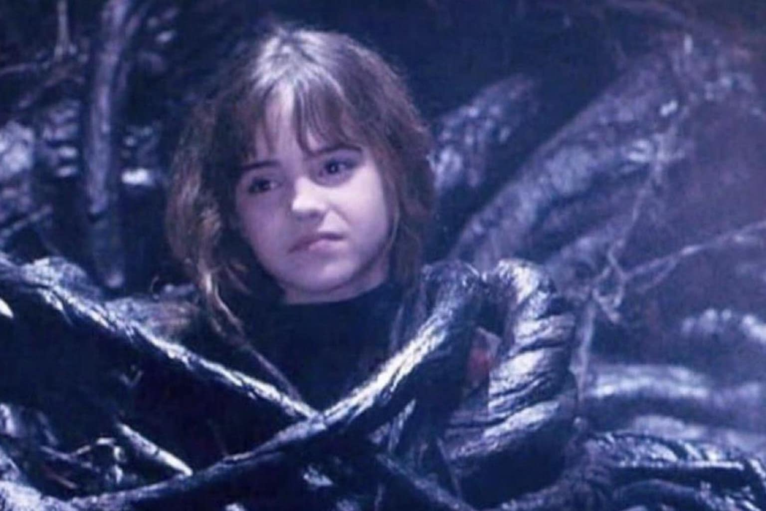 classic memes compilation: An unhinged gallery of digital artifacts featuring the horror of cockroach coffee, a "thumb-toe" surgical monstrosity, and Peter Griffin's late-night existential dread.