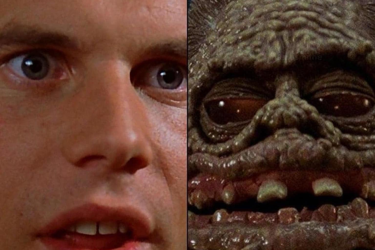 A classic memes dump that includes a medieval pub sign of a creature blowing a horn out of its butt, The Weeknd's official profile picture being a crude fan drawing, and a blunt retail sign announcing the store is closed because of an accident on the floor.