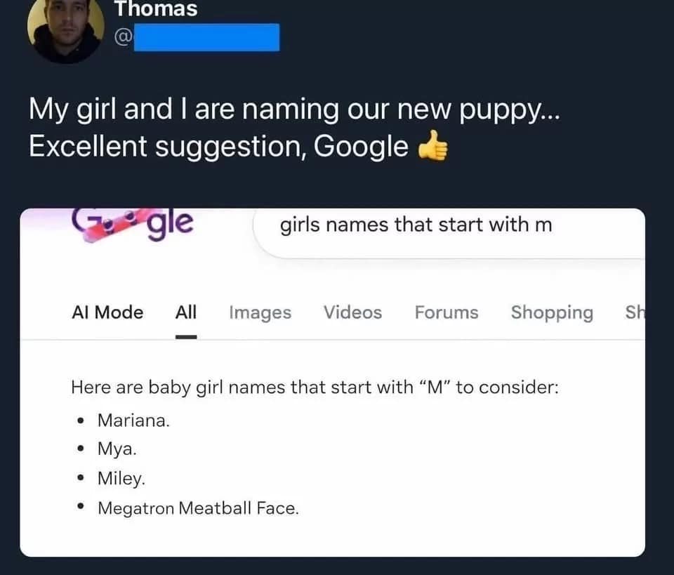 An absurd classic meme screenshot of a Google search for baby girl names starting with "M." While Mariana and Miley are standard suggestions, the AI-curated list includes the chaotic option "Megatron Meatball Face."