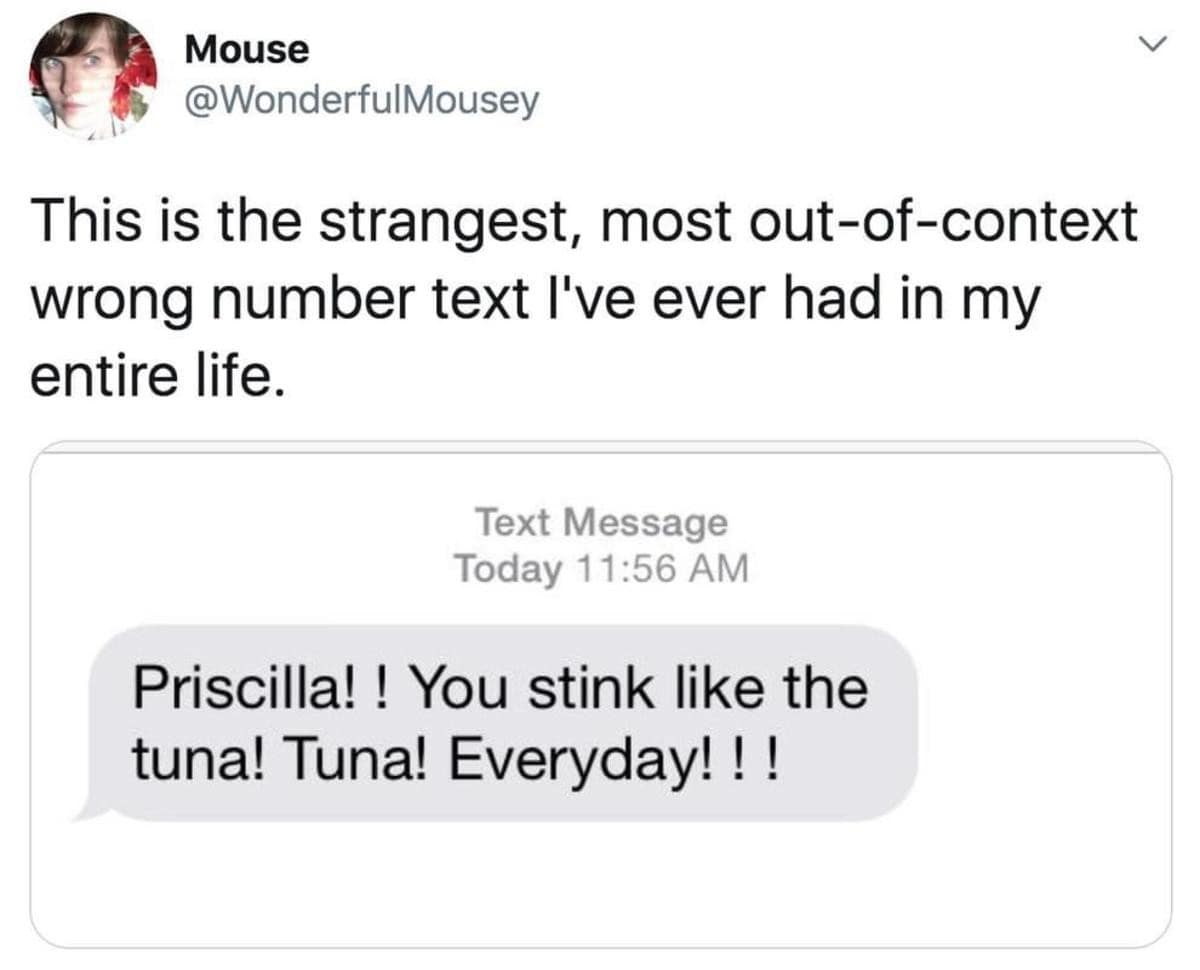 wrong-number classic meme showcasing a bizarre and aggressive text message out of nowhere, where a stranger furiously shouts "Priscilla!! You stink like the tuna! Tuna! Everyday!!!".