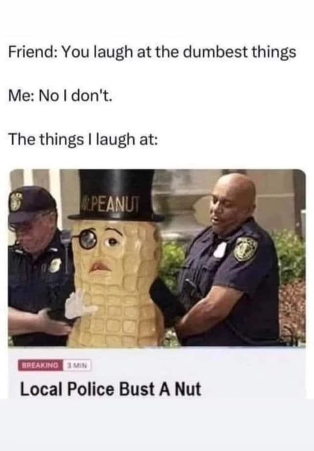 classic meme about having a broken sense of humor. The top text features a dialogue about laughing at "dumb things," followed by a "Breaking News" graphic of two police officers arresting a person in a Mr. Peanut costume. The hilarious headline reads: "Local Police Bust A Nut."
