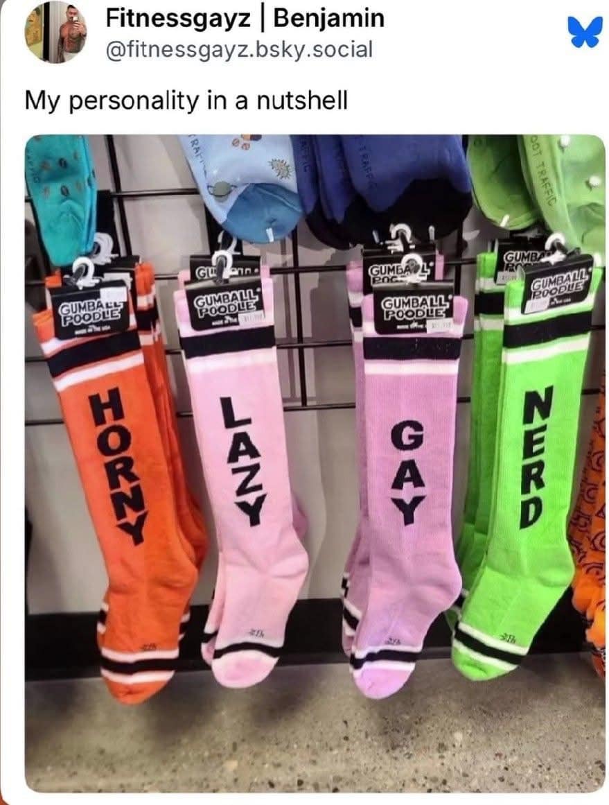 A self-deprecating classic meme showing a store display of four different novelty socks labeled "HORNY," "LAZY," "GAY," and "NERD." The caption from a BlueSky user reads: "My personality in a nutshell."