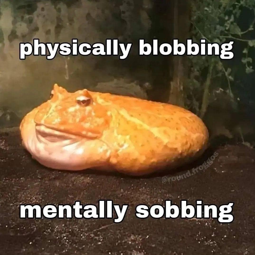 viral meme dump comparison showing Margot Robbie in 2023 versus a 2026 gaunt-faced edit. The caption critiques the cosmetic trend of buccal fat removal, claiming the girls are "all turning into Handsome Squidward."