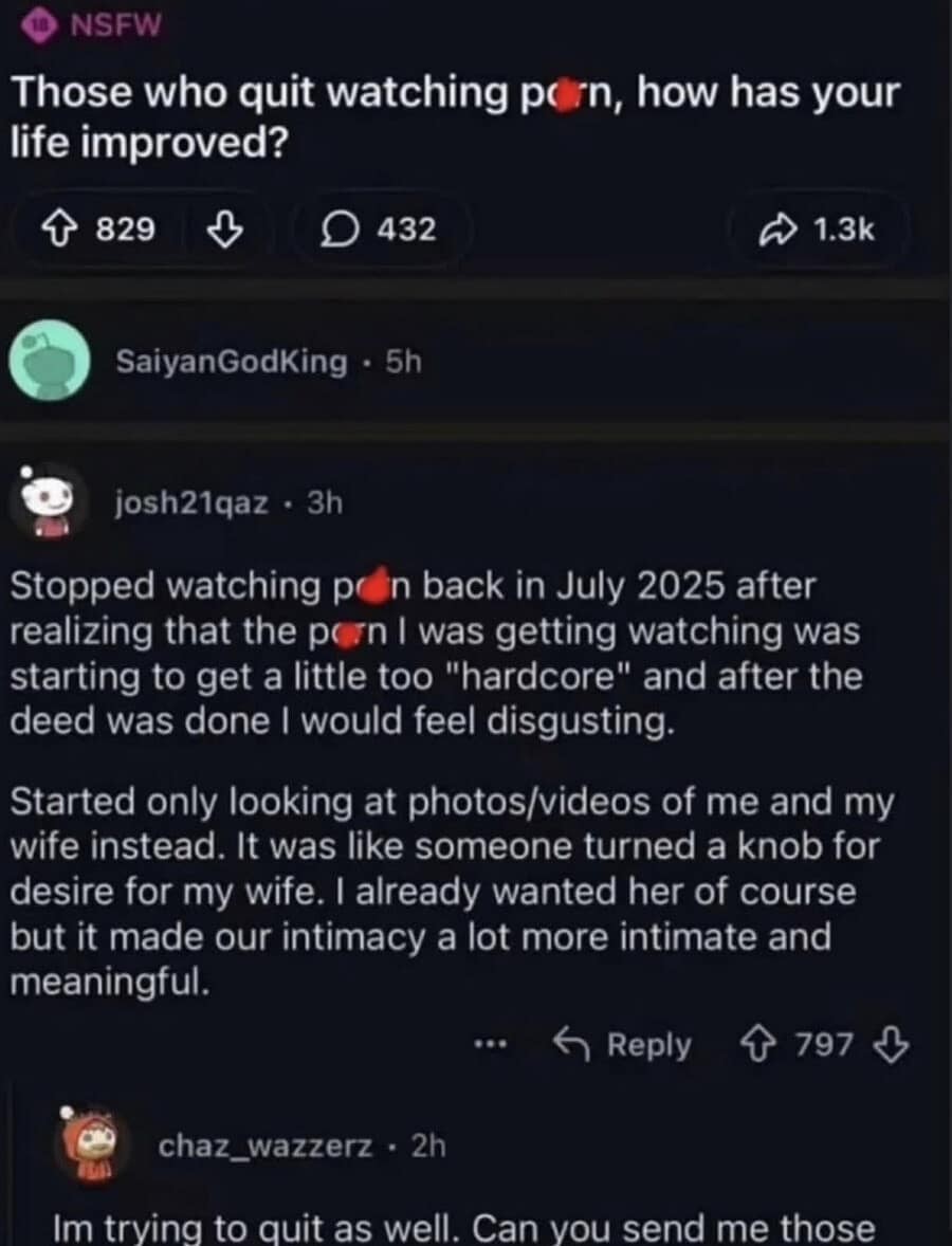A "cursed comment" classic meme from a Reddit thread. One user gives a wholesome account of how quitting adult content improved his intimacy with his wife. The reply beneath it subverts the mood entirely, asking: "Im trying to quit as well. Can you send me those [photos/videos of your wife]."