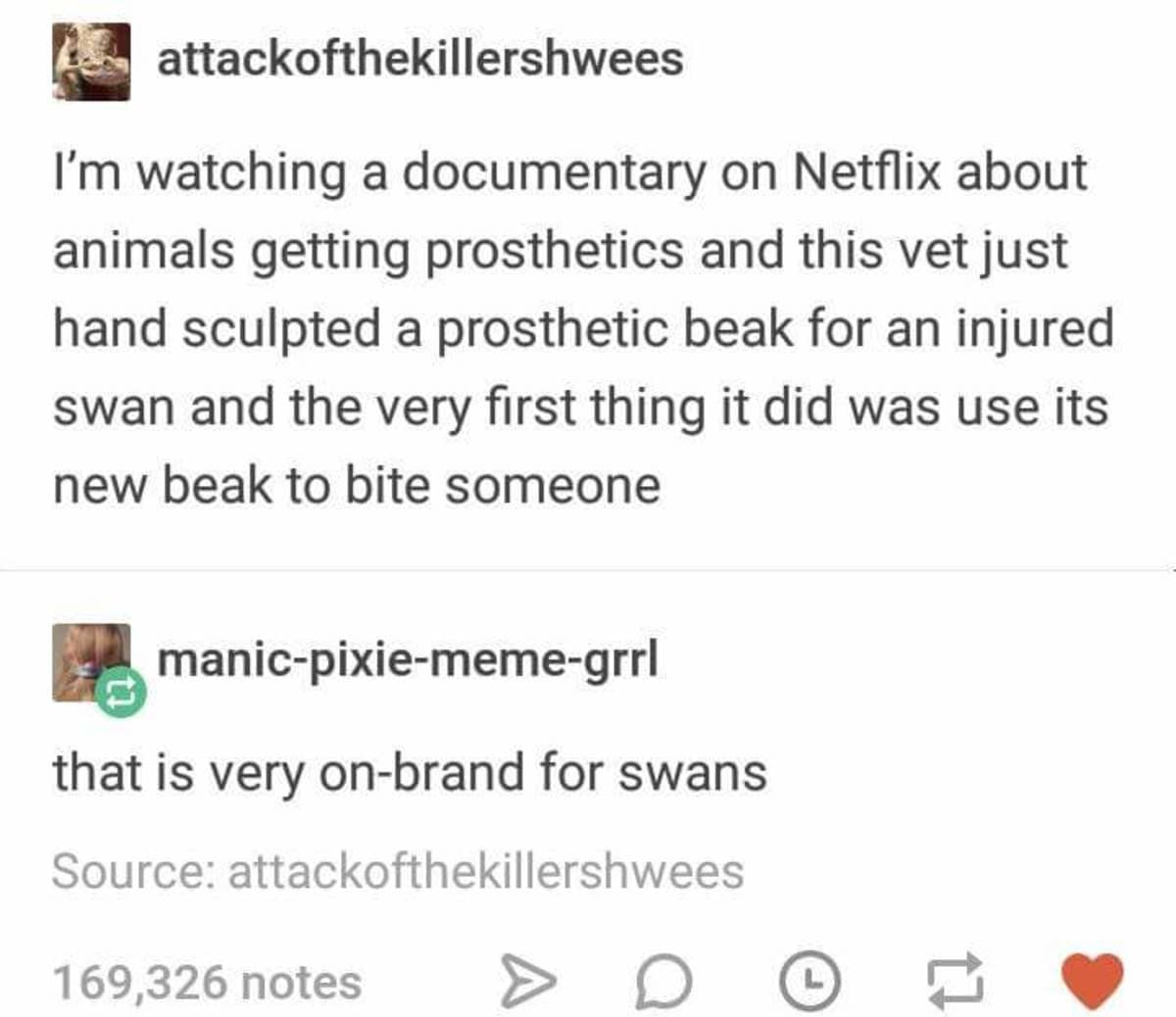 A Tumblr thread classic meme about animal behavior. A user describes a documentary where a vet hand-sculpts a prosthetic beak for a swan, only for the swan to immediately use it to bite someone. The reply reads: "that is very on-brand for swans."