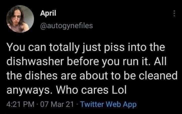 A chaotic tweet proposing the absurd idea of using a dishwasher as a toilet because "the dishes are about to be cleaned anyway," showcasing the type of logic often found in a classic meme.
