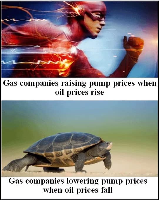 This relatable old meme uses the speed of The Flash and a slow-moving turtle to mock the lightning-fast rate at which gas companies raise prices versus the agonizingly slow pace at which they lower them.