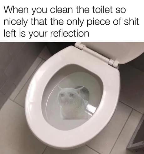 One of the best memes for self-deprecating humor, showing a sparkling clean toilet bowl with the "crying cat" face reflected in the water, captioned that after cleaning, the only "trash" left in the bowl is the reflection.