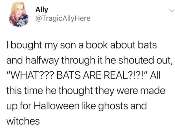 A wholesome classic meme tweet where a mom reveals her son read a book about bats and suddenly shouted in shock because he thought they were made up for Halloween like ghosts and witches, a hilarious addition to the best memes collection.