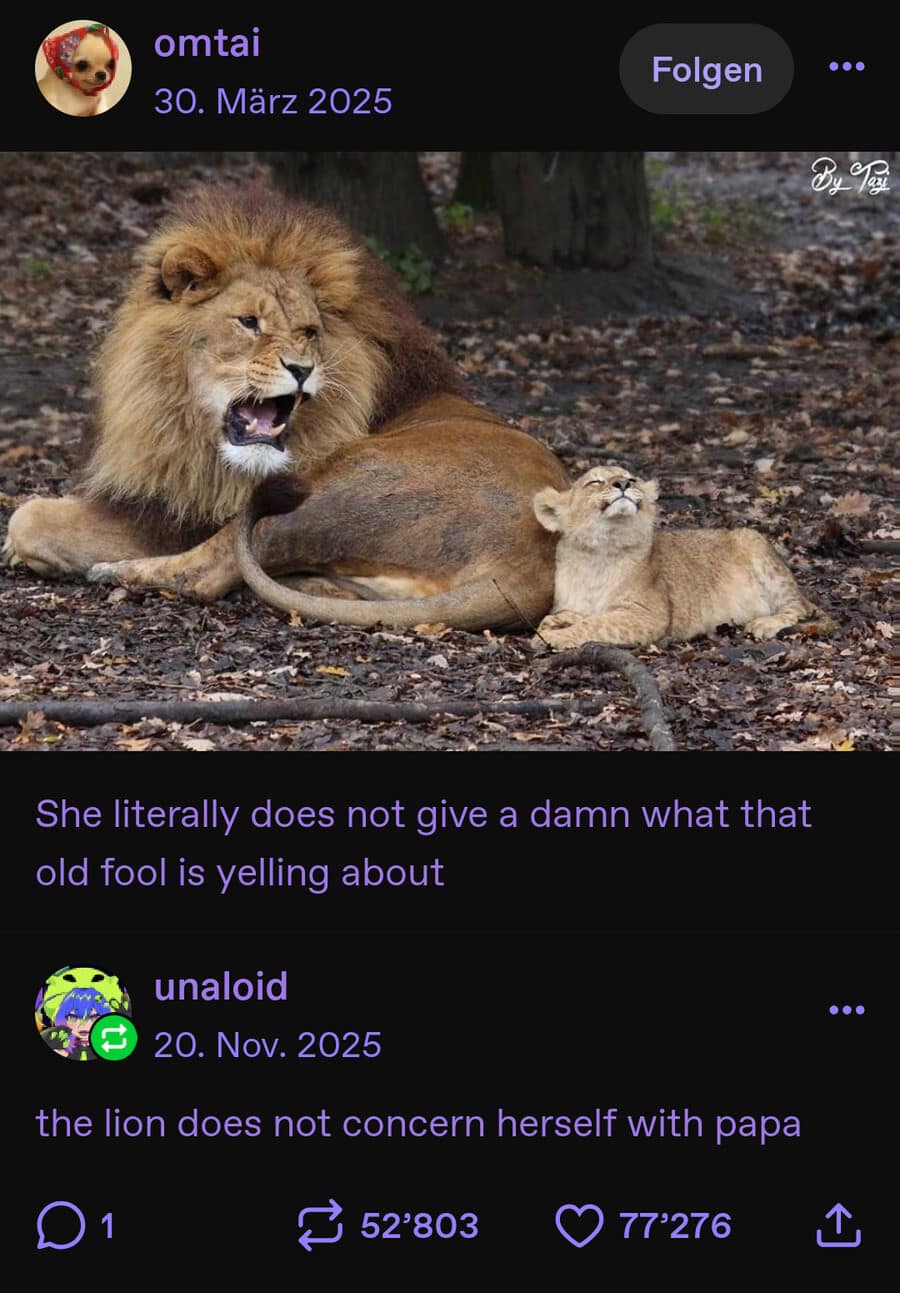 nature-themed classic meme showing a massive male lion roaring with fury while a tiny cub lies next to him, eyes closed and looking completely stoic. The caption reads, "the lion does not concern herself with papa."