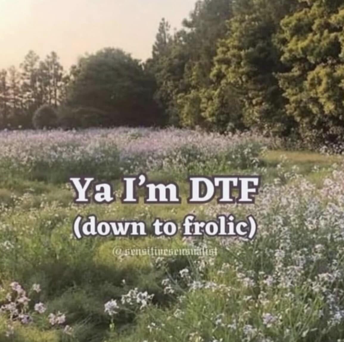 wholesome subversion classic meme featuring a dreamy field of purple flowers and sunlight. The bold text declares, "Ya I’m DTF (down to frolic)," reclaiming the acronym for nature lovers.