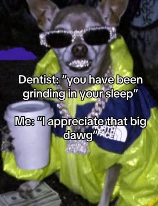 classic meme featuring a "Big Dawg" chihuahua. The dog is decked out in a bright yellow North Face jacket, diamond-encrusted sunglasses, and a diamond grill on its teeth, holding a coffee cup over a stack of cash. The text jokes about a dentist saying "you have been grinding in your sleep," to which the dog replies, "I appreciate that big dawg."