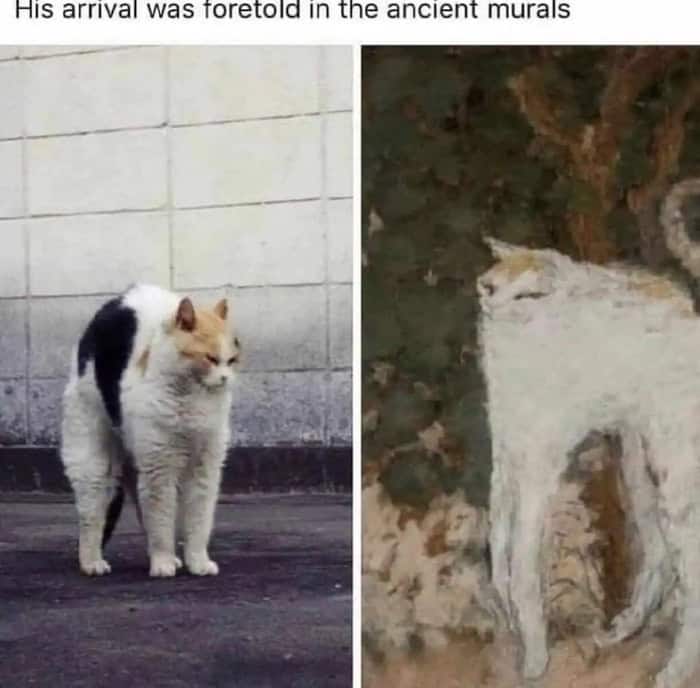 A prophetic classical art meme featuring a side-by-side comparison. On the left, a real-life photo of a cat with unnervingly long front legs; on the right, a detail from a medieval tapestry showing a cat with identical long-legged proportions. The caption reads: "His arrival was foretold in the ancient murals."